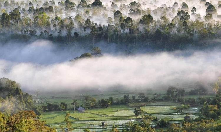 4 Rekomendasi Tempat yang Wajib Dikunjungi saat Ke Sulawesi Tengah, Cocok untuk Hidup Tenang  - Image