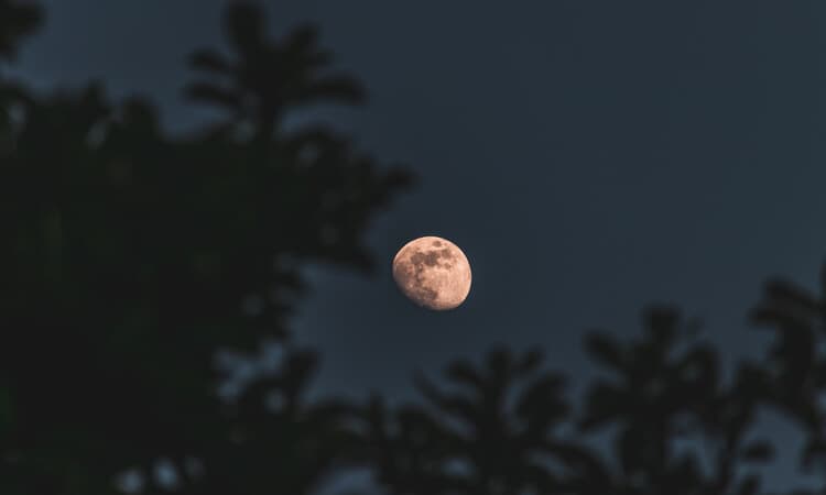 Fenomena Supermoon Pada Desember 2025 Akan Tampilkan Bulan Lebih Besar dan Lebih Terang - Image