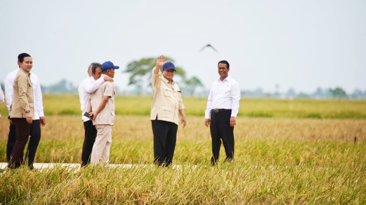 Penen Raya di Karawang Jadi Bukti Arah Pertanian Modern Indonesia - Image